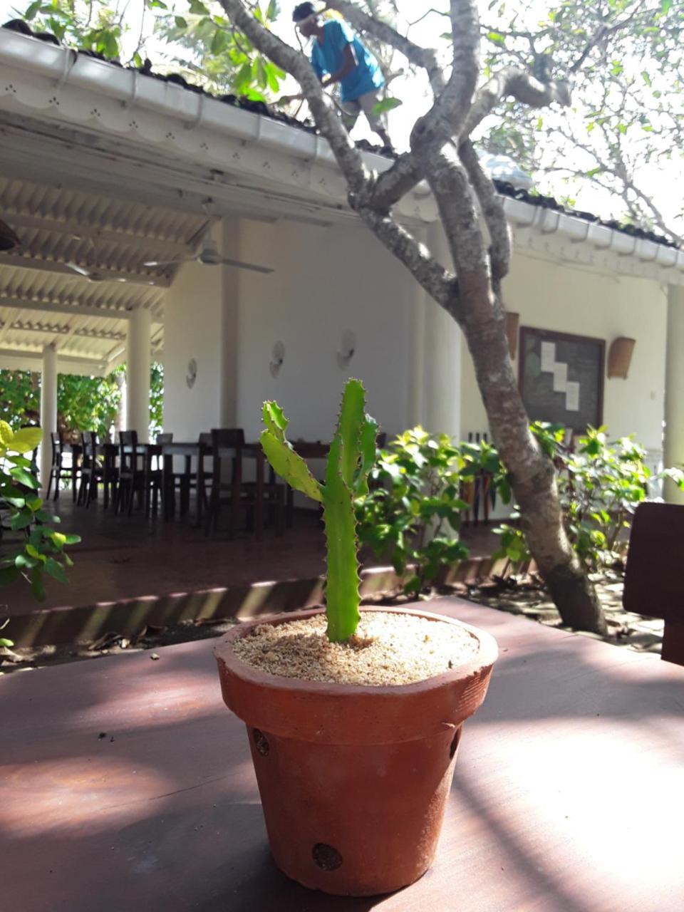 Palm Villa Mirissa Banduramulla Екстер'єр фото