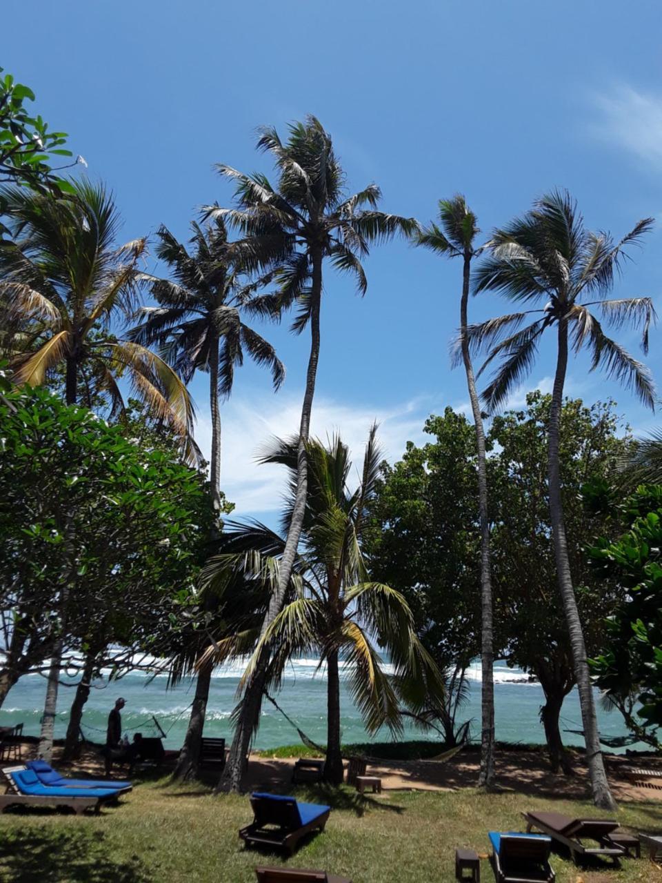 Palm Villa Mirissa Banduramulla Екстер'єр фото